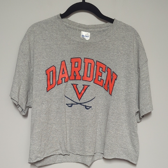 Gildan Gray Darden Graphic Tee - Picture 1 of 3